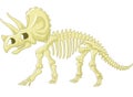 Triceratops skeleton Royalty Free Stock Photo