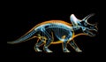 Triceratops skeleton x-ray on black background