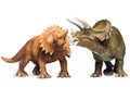 Triceratops Royalty Free Stock Photo