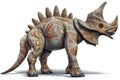 Triceratops on white background, animals, reptiles & amphibians Royalty Free Stock Photo