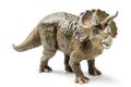 Triceratops on white Royalty Free Stock Photo