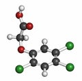 2,4,5-trichlorophenoxyacetic acid (2,4,5-T) herbicide molecule, 3D rendering. Ingredient of Agent Orange. Atoms are represented as Royalty Free Stock Photo