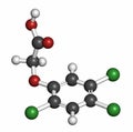 2,4,5-trichlorophenoxyacetic acid (2,4,5-T) herbicide molecule, 3D rendering. Ingredient of Agent Orange. Atoms are represented as