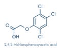 Trichlorophenoxyacetic acid 2,4,5-T herbicide molecule synthetic auxin. Skeletal formula.