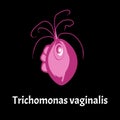 Trichomonas vaginal. Infographics. Vector illustration on isolated background.