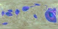 Trichomonas vaginalis protozoan, 360-degree spherical panorama Royalty Free Stock Photo