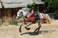 Trick riding,the Legend of Provins Royalty Free Stock Photo