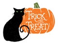 Trick or Treat Cat 2 with Pumpkin Background