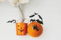 Trick or treat! Dog paw holding Jack o lantern candy pail on white background with pumpkin, bats and spider decorations, Royalty Free Stock Photo