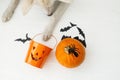 Trick or treat! Dog paw holding Jack o lantern candy pail on white background with pumpkin, bats and spider decorations, Royalty Free Stock Photo