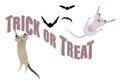 Trick or Treat. Funny cats having fun on Halloween time. Royalty Free Stock Photo