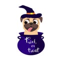 Trick or treat. Funny pug in pot with magic potion. Humor Halloween vector illustration with dog Royalty Free Stock Photo