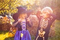 Trick or Treat. Halloween children enjoying in the autumn park on field. Surprised group little zombie in Halloween