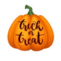 Trick or treat lettering on pumpkin. Happy Halloween concept.