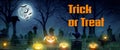 Trick or Treat - A spooky Halloween graveyard with pumpkins, bats, a black cat, full moon and green mist Royalty Free Stock Photo