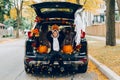 Trick or trunk. Child boy celebrating Halloween in trunk of car. Kid with red carved pumpkin celebrating traditional October