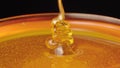 A trickle of thick golden honey flowing into a glass. Close up macro shot of honeyed molasses dripping on isolated black