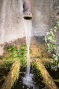 A trickle of water falls into a old round tub of mossy stone. Royalty Free Stock Photo