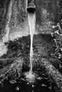 A trickle of water falls into a old round tub of mossy stone. Royalty Free Stock Photo