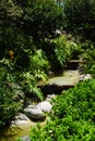 Trickling Waterfall Landscape