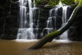 Hidden cascading waterfall in a deep gorge with trickling white water. Forest of Bowland, Ribble Valley, Lancashire Royalty Free Stock Photo