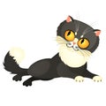 Tricky animated gray cat with yellow eyes isolated on a white background. Vector cartoon close-up illustration. Royalty Free Stock Photo