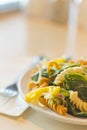 Tricolor Pasta Salad Royalty Free Stock Photo