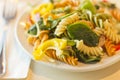 Tricolor Pasta Salad Royalty Free Stock Photo