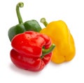 3 tricolor peppers red, green and yellow whole, raw and fresh with water drops. Royalty Free Stock Photo