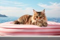 Tricolor striped cat lounging on a pink inflatable mattress