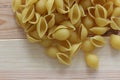 Tricolors pasta, italian pasta, regular pasta, mini shells pasta, Royalty Free Stock Photo