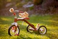 Tricycle with little chicks in garden, baby chickens playing