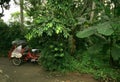 A tricycle parking at the forest in Jogja, Indonesia