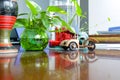 Tricycle on table near tree Royalty Free Stock Photo