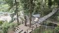 Tricycle on wooden bridge in forest