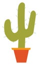 A trident shape cactus in earthen pot vector or color illustration
