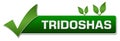Tridoshas Green Leaves Tick Mark Royalty Free Stock Photo