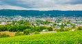 Trier viewed behind vineyards, Germany Royalty Free Stock Photo