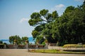 TRIESTE, ITALY - 20 JULY,2013: park view at Miramare castle, Trieste, Italy