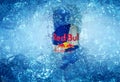TRIESTE, ITALY-MAY 29, 2016: Aluminium can of Red Bull Energy drink iced Background.
