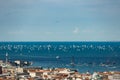 Trieste, Italy. Over 2000 of sails boat in the Adriatic sea during the Barcolana regatta 2017. The Biggest sail boat regata in the Royalty Free Stock Photo