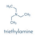 Triethylamine organic base molecule. Skeletal formula. Royalty Free Stock Photo