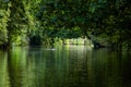 Trieux river and duck, Pontrieux, Brittany, France Royalty Free Stock Photo