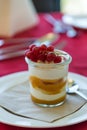 Trifle dessert with fruits