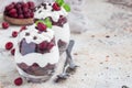 Trifle dessert with brownie, cream cheese frosting and raspberry in glass, copy space