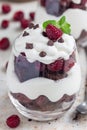 Trifle dessert with brownie, cream cheese frosting and raspberry in a glass