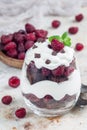 Trifle dessert with brownie, cream cheese frosting and raspberry in glass, vertical