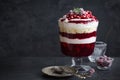 Trifle. Festive layered dessert in glass. Royalty Free Stock Photo