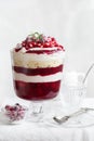 Trifle. Festive layered dessert in glass. Royalty Free Stock Photo