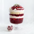 Trifle. Festive layered dessert in glass. Royalty Free Stock Photo